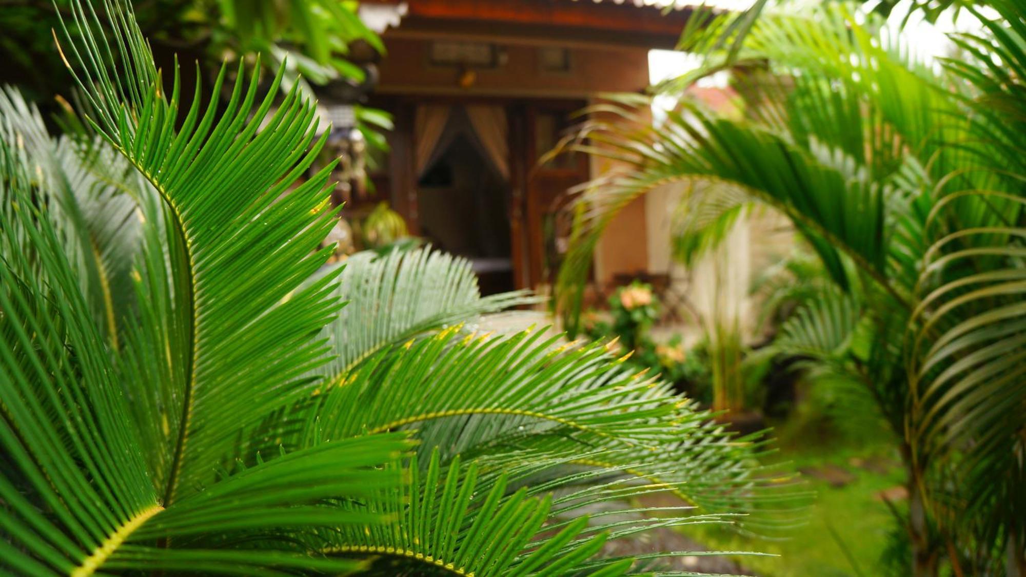 Rumahku Homestay อาเม็ด ภายนอก รูปภาพ
